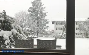 Central Garden-Mountain Apartment - Image 4