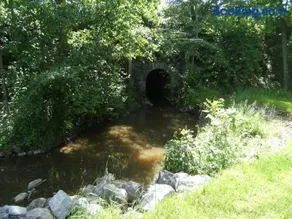 Clos Du Ry De Snaye - Image 4