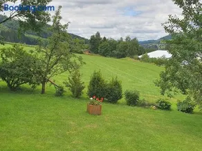 Ferienwohnungen Am Finkenweg - Image 5