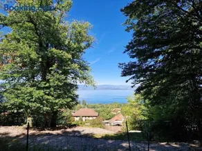La Colonie - Image 2