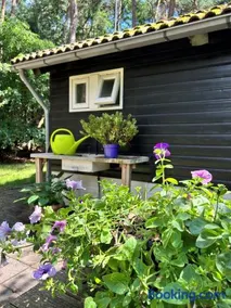 Kleine huisje op de Veluwe - Image 4