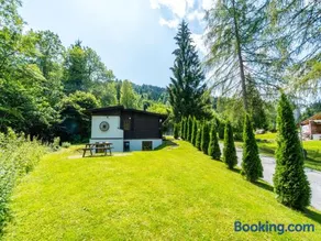 Family chalet with garden & terrace - Image 2