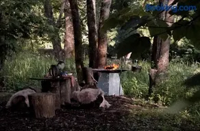 Off-grid Cork Cabin - Hot-Tub - Sleeps 2 - Image 3
