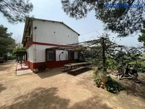 Finca Los Molinos - Image 2