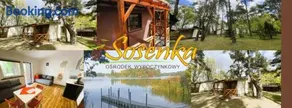 Sosenka Zaniemyśl - Image 1