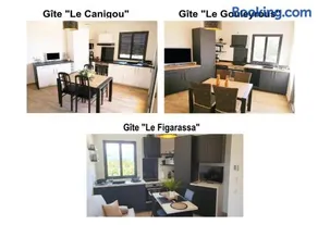 Mas Jams - Le Gouleyrous, Le Canigou et Le Figarassa - Image 3