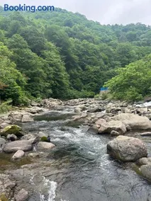 Mtirala Panorama - Image 5