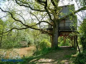 Cabane perchée - lac privé, spa & nature - Image 1