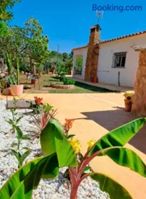 Buganvilla - Image 1