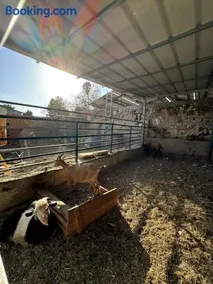 Cozy Farmhouse with Goats, Garden & Deck - Image 3