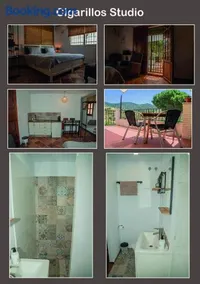 El bufon de la corte - Image 4