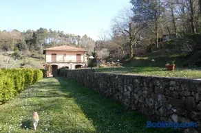 I Lecci - Image 1
