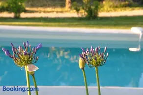 Le Mas en Provence - Image 4