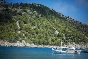 Villa Vivere - Image 5