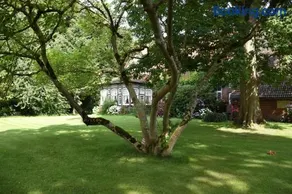 Lüttje Paradies - Image 2