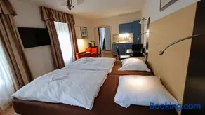 Apartments Gato Karlovy Vary Dalovice Free Parking - Image 4