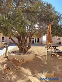 SPNI Har Hanegev Field School - Image 2