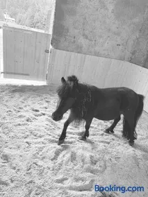 Pension Huber - Image 1