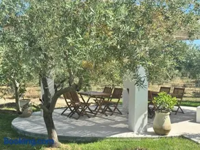 Armandiola - Image 4