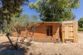 cabane des vignes - Image 5