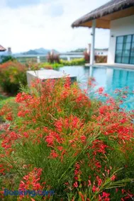 Beautiful secluded standalone villa with private pool - Image 1