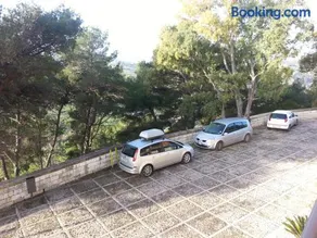 MillePini - Image 3