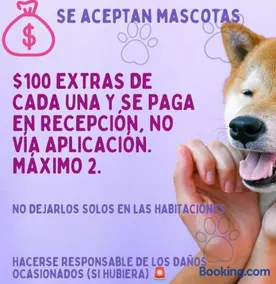 Cabañas Los Bosques del Zembo - Image 4