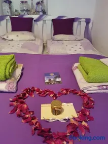 Kis Sziget Vendégház - Image 2