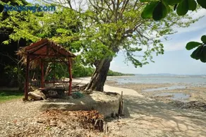 Howler Monkey Hotel - Image 5