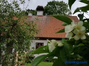 Żywkowo Bocianie Gospodarstwo Rolne - Image 1