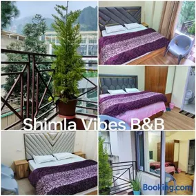 Shimla Vibes B & B free pick and drop from ISBT Shimla - Image 3