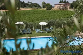 Fattoria Poggio Capponi - Image 5