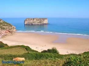 Las endrinas - Image 4