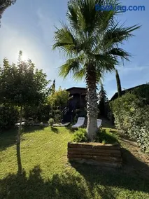 Wooden Luxury Villas - Image 5