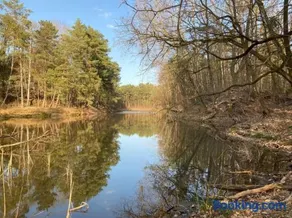 Bungalow im Wald am See - Biberspur - Image 1