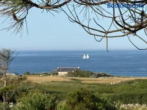 Les GRILLONS - Image 3