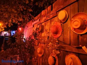 Le Bivouac - Image 2