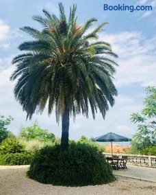 Villachiara - Image 3