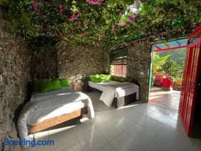 Glamping Spa & Coffee Tour - Image 2