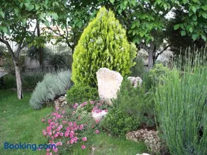 El Rincon de Pepa - Image 4