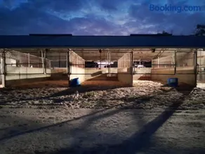 Bordertown Tiny House Accomodation and Agistment - Image 2