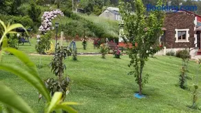 Casa do Lagar, Praia da Abrela - Image 3