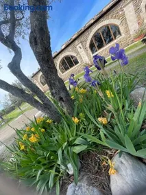 Agriturismo PETRA LUCANA - Image 1