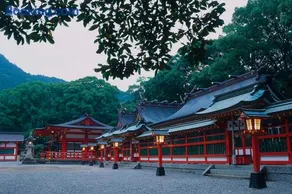 KUMANO家-OHGi- - Image 4