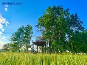 Zelený ostroff Treehouse - Image 4