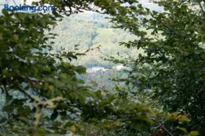 Maison Au Milieu De La Foret - Image 2