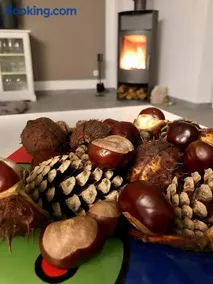 Exklusive DHH - HAUSTIERFREI - SAUNA - KAMIN - OstseeLagune Zingst, strandnah, 3 SZ, 2 Bäder, Glasfaser, Garten mit Südterrasse, E-Ladesäule, 2 Stellplätze, Strandkorb, Fahrradschuppen, Waschmaschine, Trockner, Nichtraucher, allergikerfreundlich - Image 3