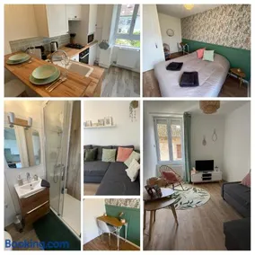 *La Belle Saison* lumineux, espace de travail, Wifi, Belfort ville - Image 1