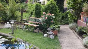 Drei Linden in Osterode - Image 1