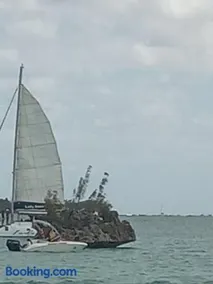 Étoile L - Image 2